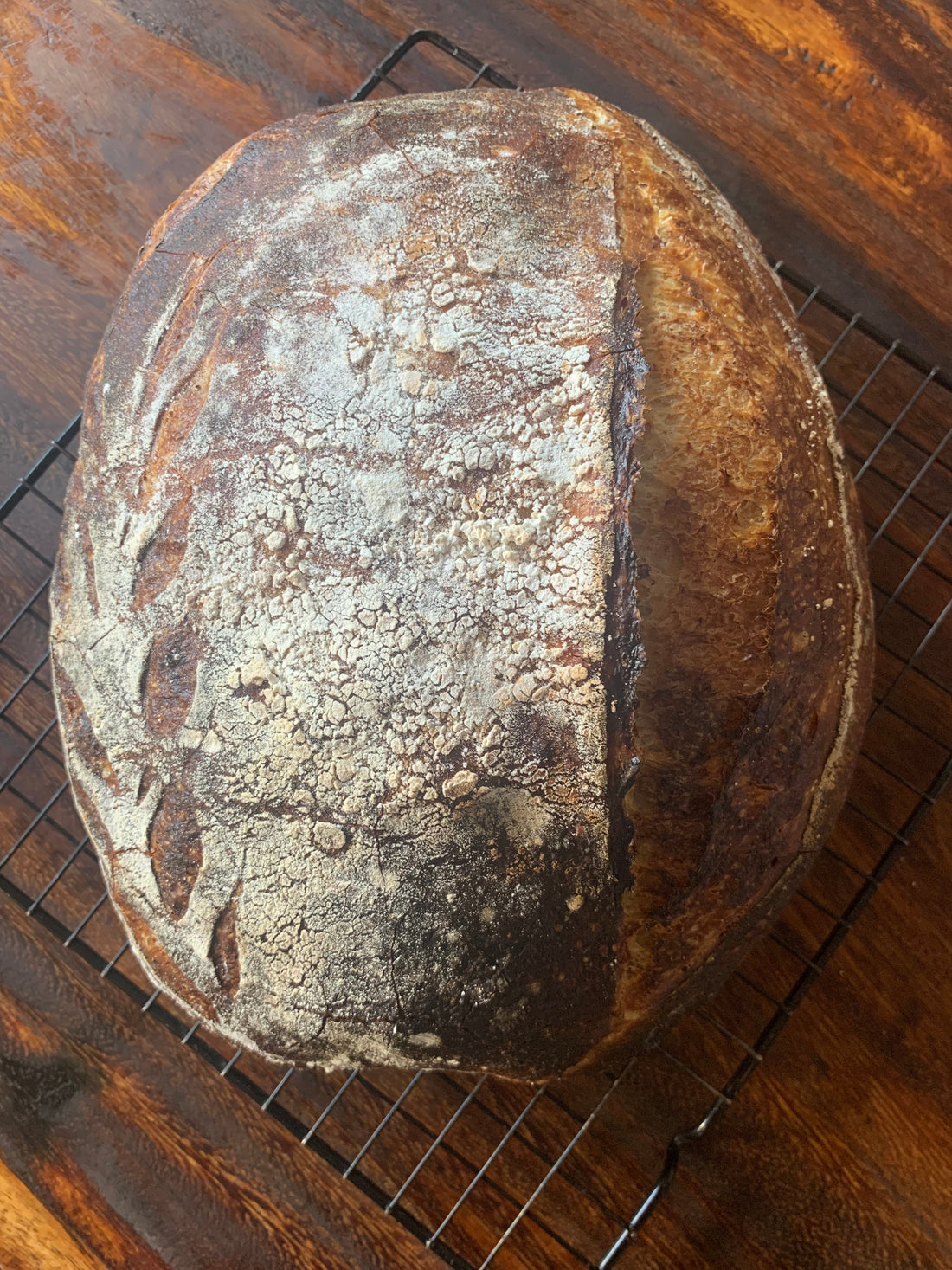 Rise Artisanal's Sourdough FAQs - Rise Artisanal