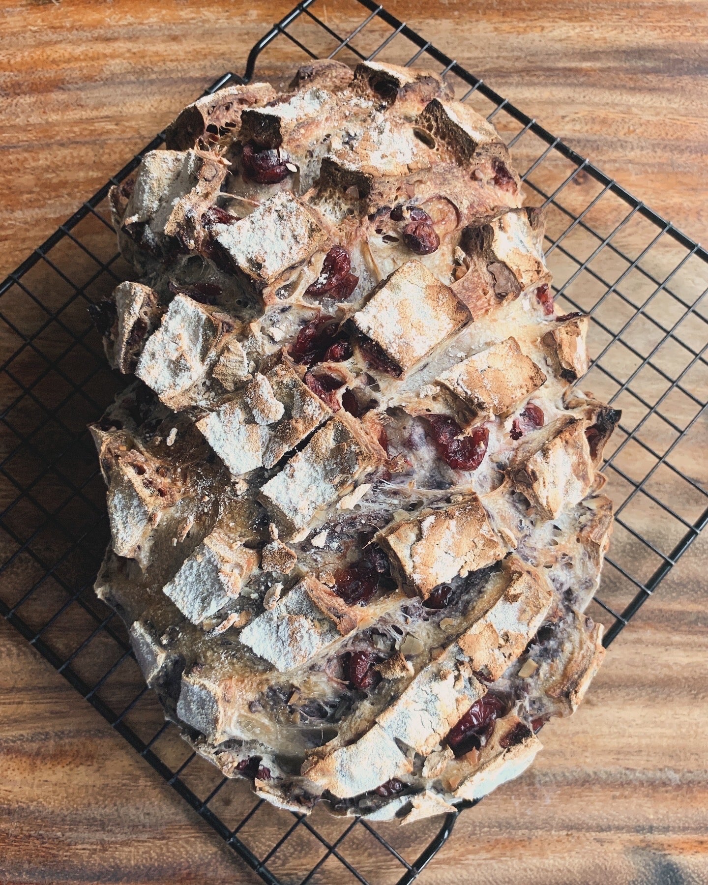 Cranberry Walnut Sourdough Batard
