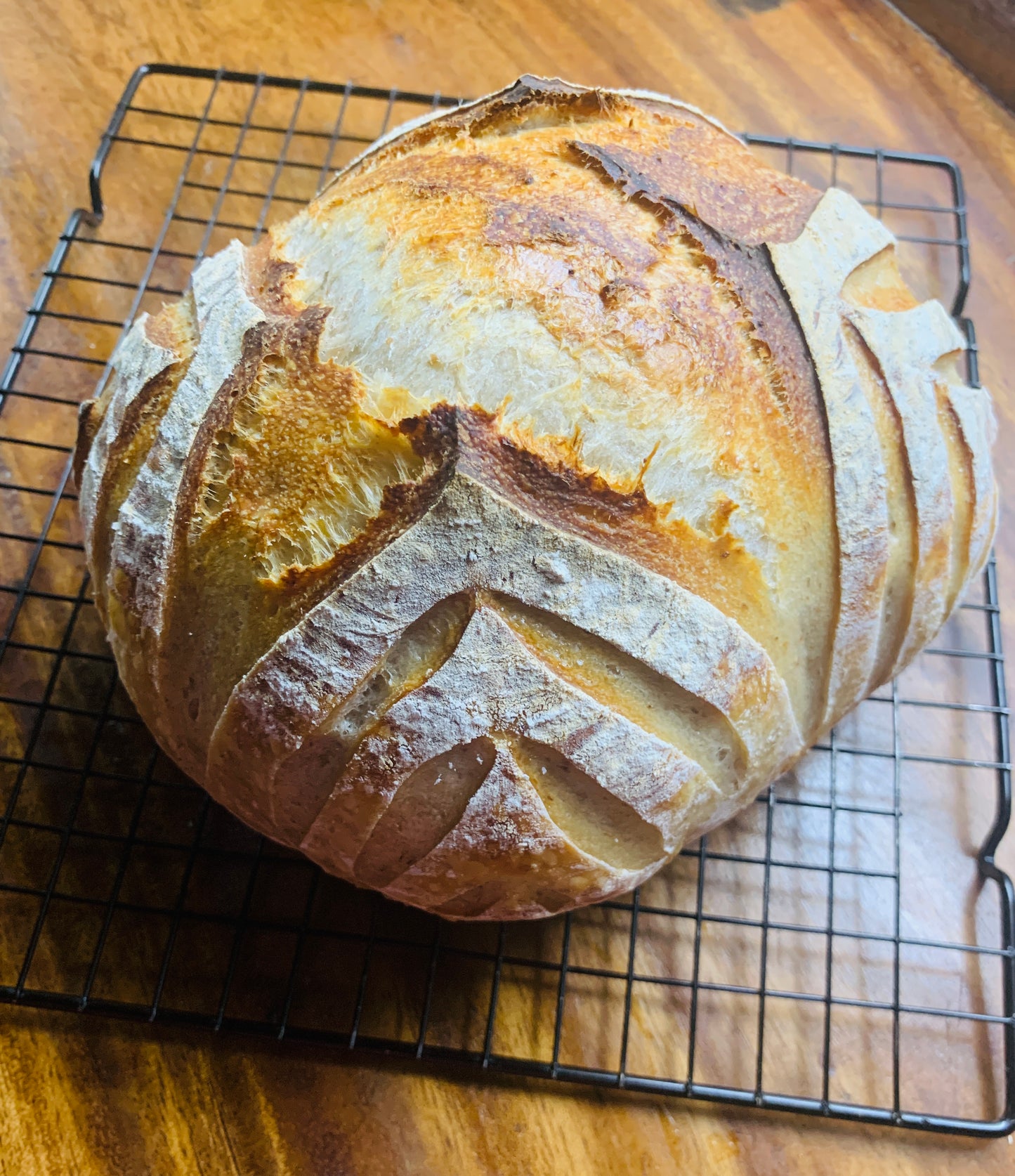 Classic Sourdough Boule